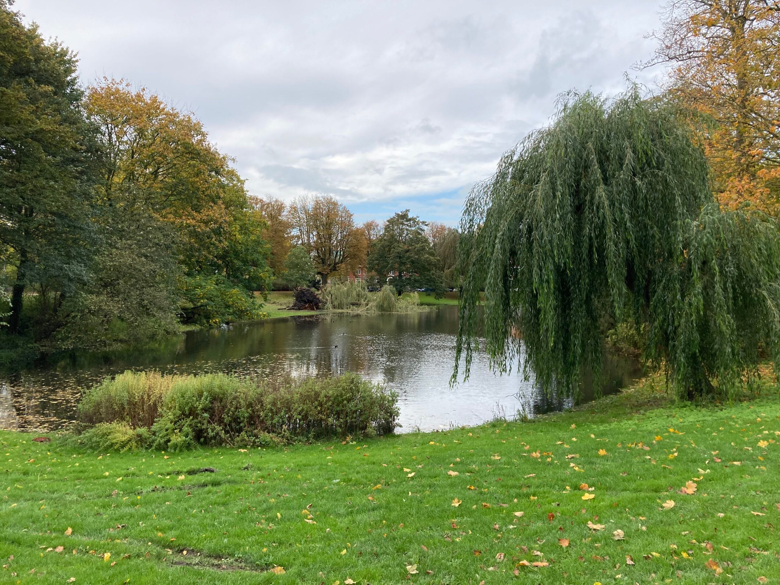 Groningen - Teich im Noorderplantsoen
